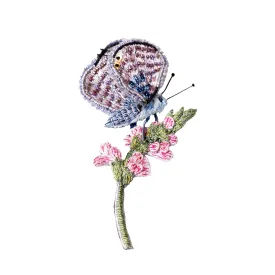 chalk hill blue butterfly brooch
