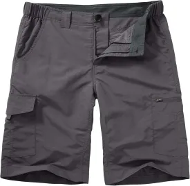 Hiking Shorts for Men Cargo Casual Quick Dry Lightweight Stretch Waist Outdoor Fishing Travel Shorts