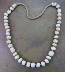 Naga Conch Shell necklace