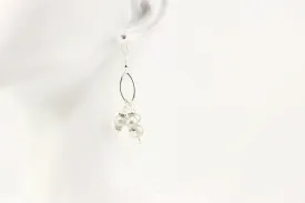 Silver Magnificence Earrings